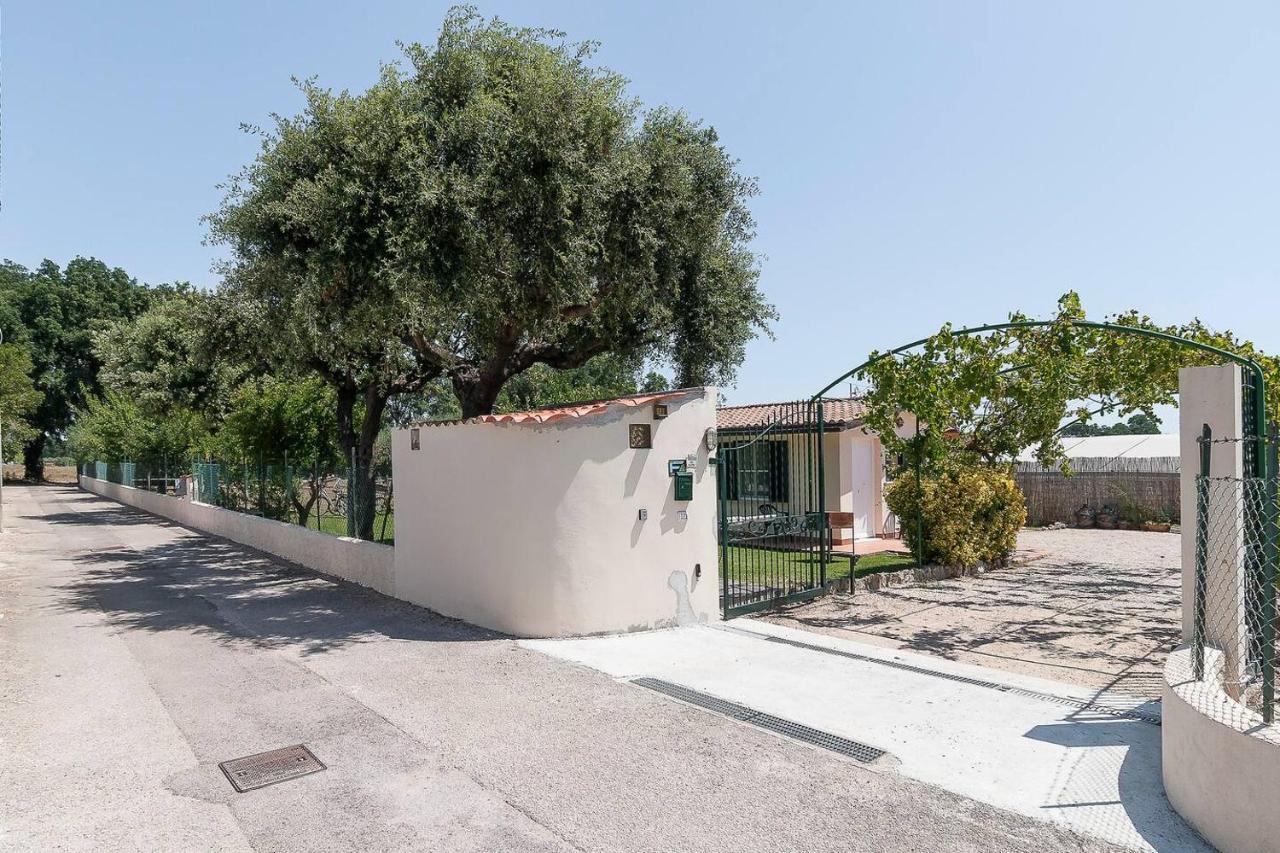 La Cesa Case Vacanza San Felice Circeo Esterno foto